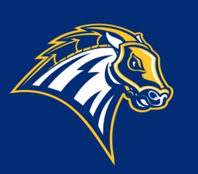 University of New Haven logo